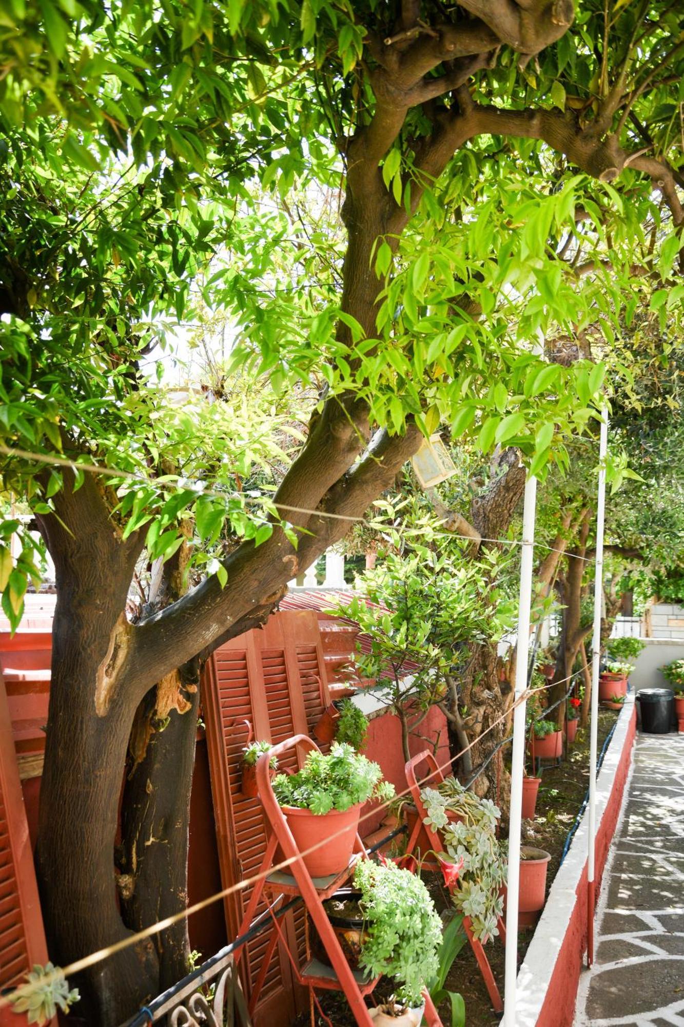 Rent House Daphne Apartment Kavála Exterior photo