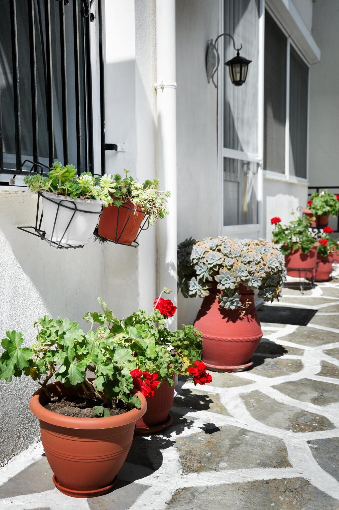 Rent House Daphne Apartment Kavála Exterior photo